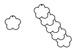 A005