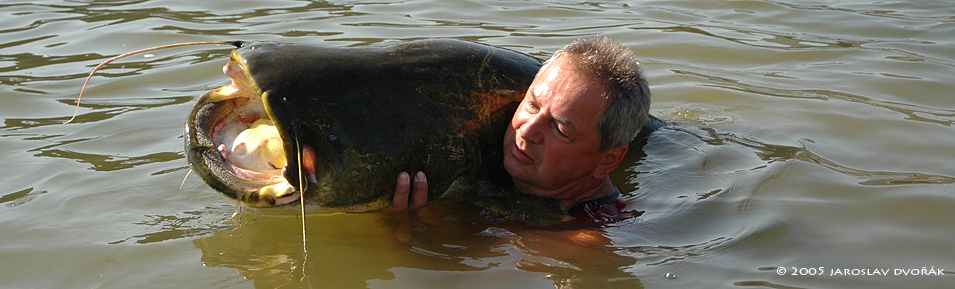 Rio Ebro, ervenec 2005, sumec 225 cm, 72,50 kg