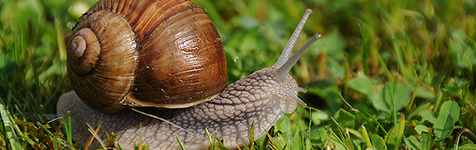 Kliknutím přejdete na PLŽI