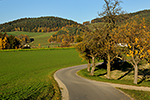 Kriechmayrdorf (A), 31.10.2015, foto: Jaroslav Dvok