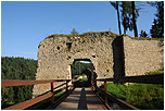 Zřícenina hradu Pořešín stojí na strmém skalnatém ostrohu nad řekou Malší asi 0,5 km od stejnojmenné vsi na Českokrumlovsku v Jihočeském kraji.