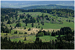 Vltavská vyhlídka je rozhledna na severovýchodním svahu hory Sulzberg (1041 m) na území hornorakouské obce Ulrichsberg v okresu Rohrbach, 1 km od rakousko-české státní hranice (u Zadní Zvonkové). Nachází se v rakouské části Šumavy (Böhmerwald) a otevírá se z ní pohled především na českou stranu, na vodní nádrž Lipno a okolí (Horní Planá, Černá v Pošumaví, Vítkův kámen, Hochficht, Sternstein) i na vzdálenější Boubín či Kleť.