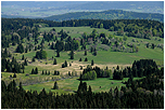 Vltavsk vyhldka je rozhledna na severovchodnm svahu hory Sulzberg (1041 m) na zem hornorakousk obce Ulrichsberg v okresu Rohrbach, 1 km od rakousko-esk sttn hranice (u Zadn Zvonkov). Nachz se v rakousk sti umavy (Bhmerwald) a otevr se z n pohled pedevm na eskou stranu, na vodn ndr Lipno a okol (Horn Plan, ern v Poumav, Vtkv kmen, Hochficht, Sternstein) i na vzdlenj Boubn i Kle.