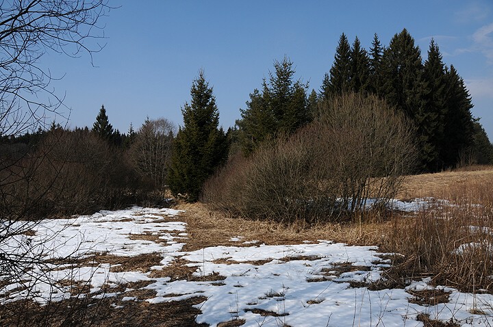 img00005.jpg