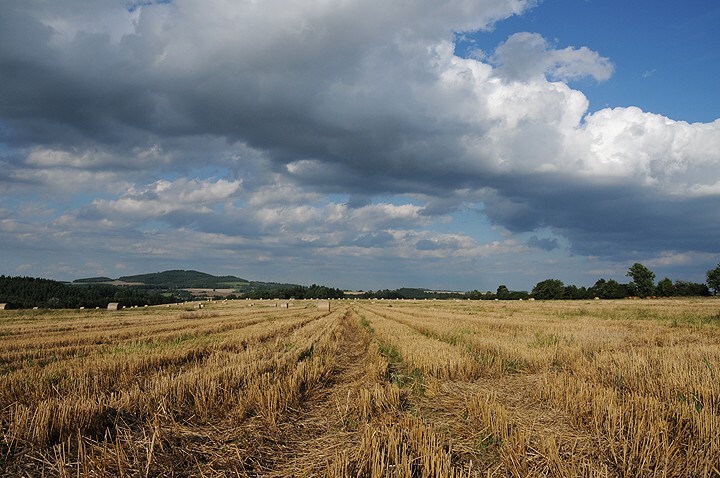 img00004.jpg