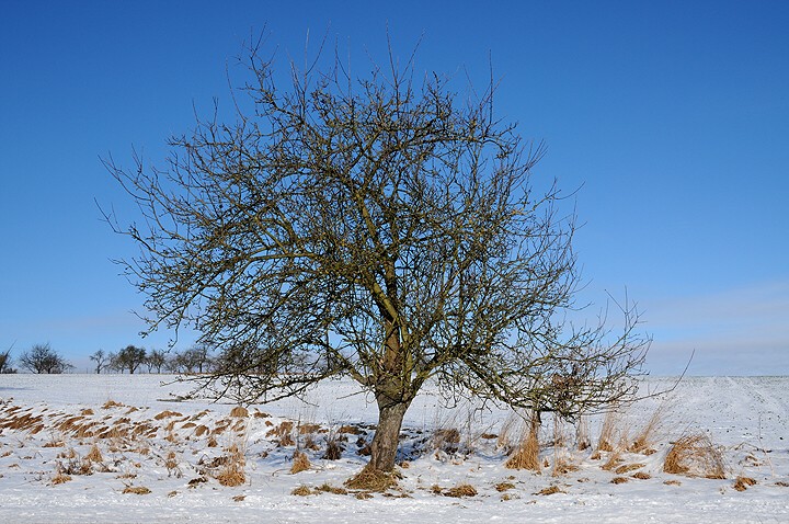 img00001.jpg