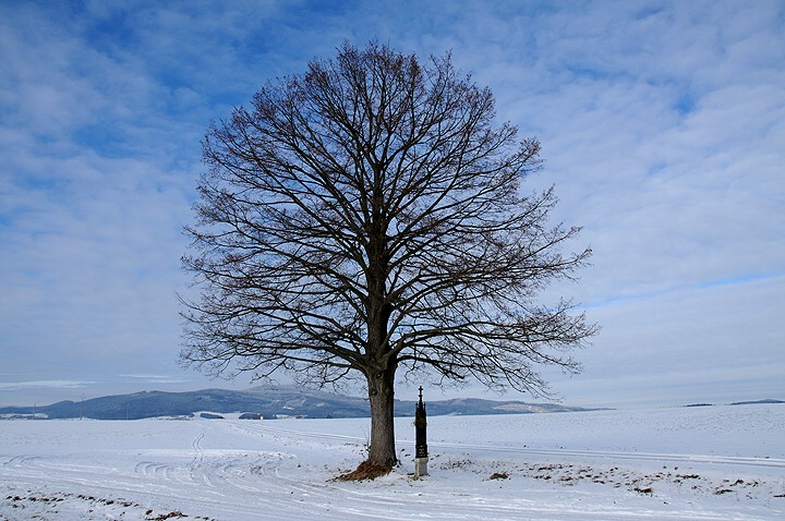 img00002.jpg