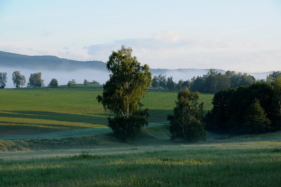 Chabičovice