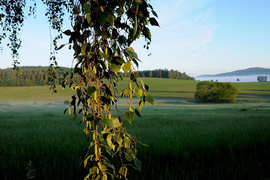 Chabičovice