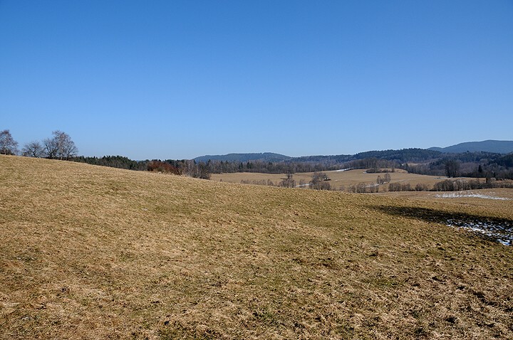img00006.jpg