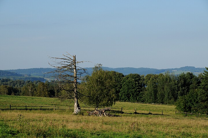img00006.jpg