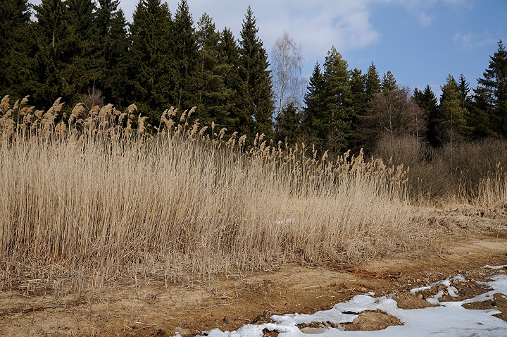 Lipenská přehrada