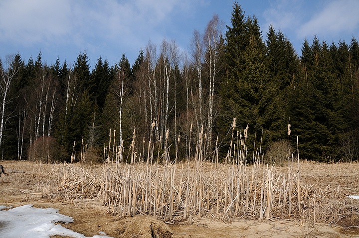 Lipenská přehrada