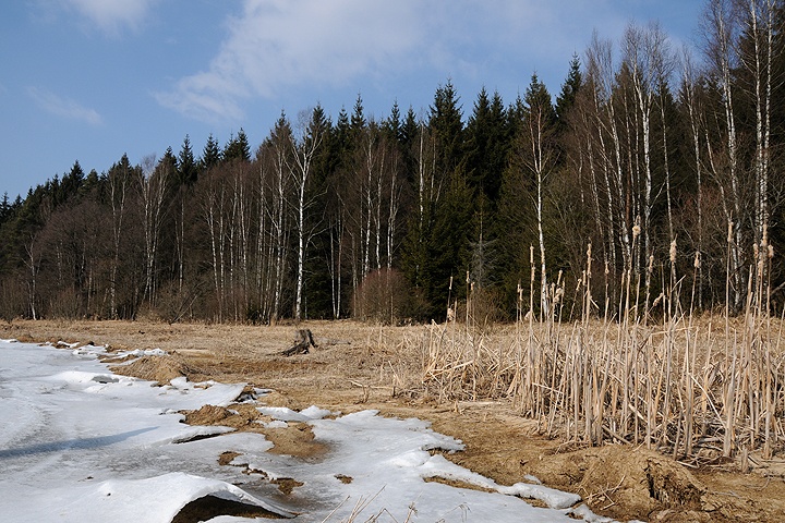 Lipenská přehrada