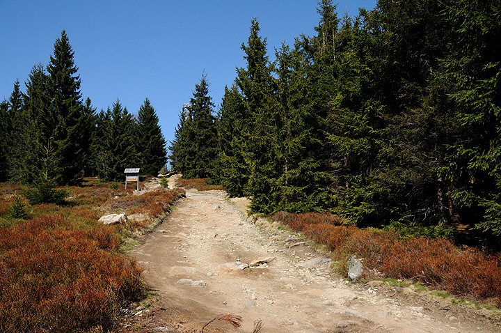 img00001.jpg