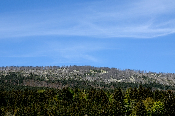 Národní park ŠUMAVA