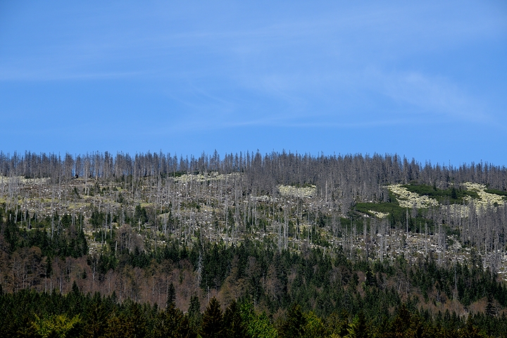 Národní park ŠUMAVA