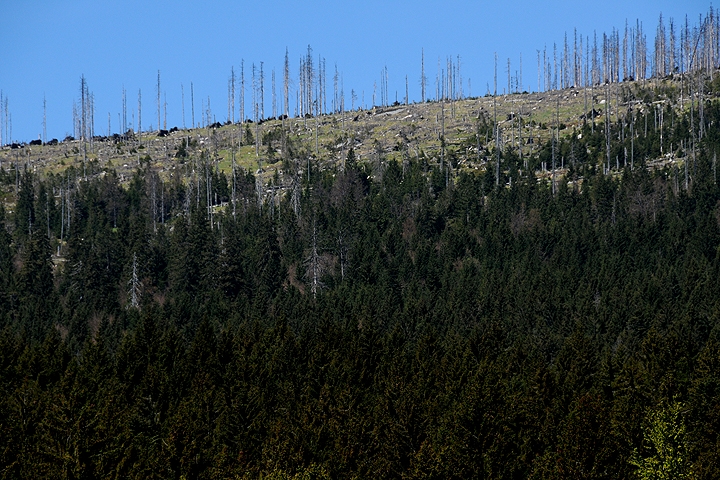 Národní park ŠUMAVA