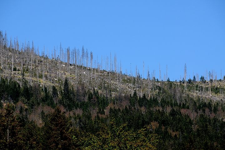 Národní park ŠUMAVA