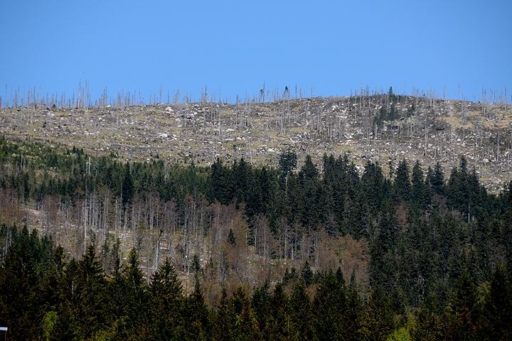 Národní park ŠUMAVA