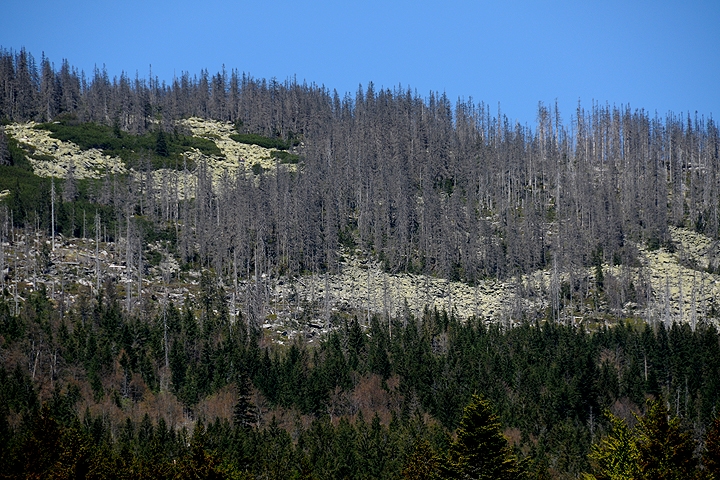 Národní park ŠUMAVA