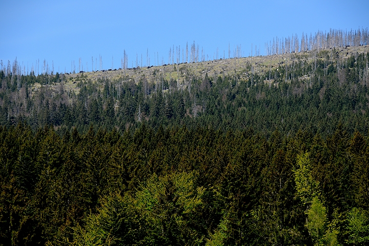 Národní park ŠUMAVA