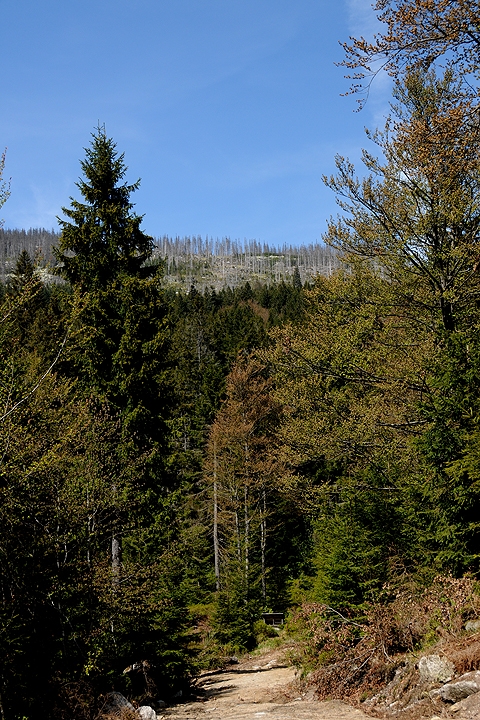 Národní park ŠUMAVA