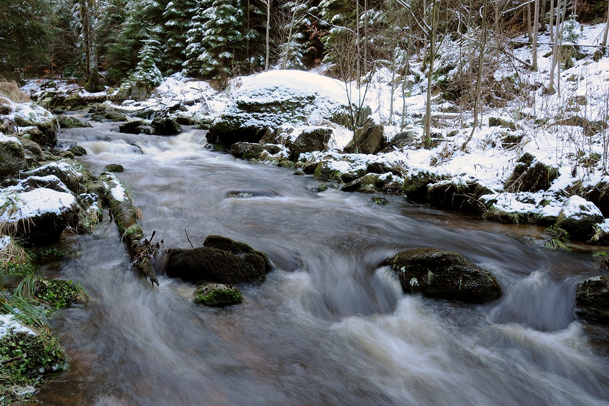 Pohoří na Šumavě (Pohořský potok)