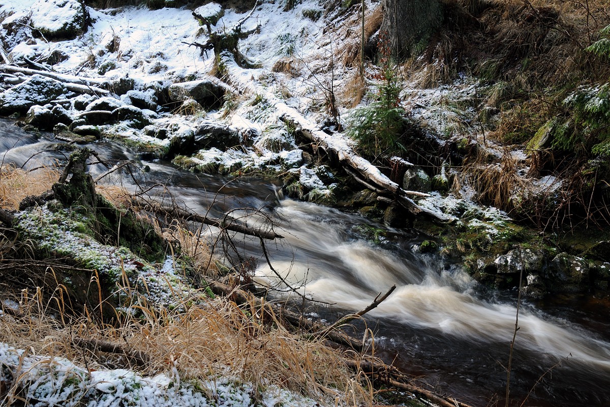 Pohoří na Šumavě (Pohořský potok)