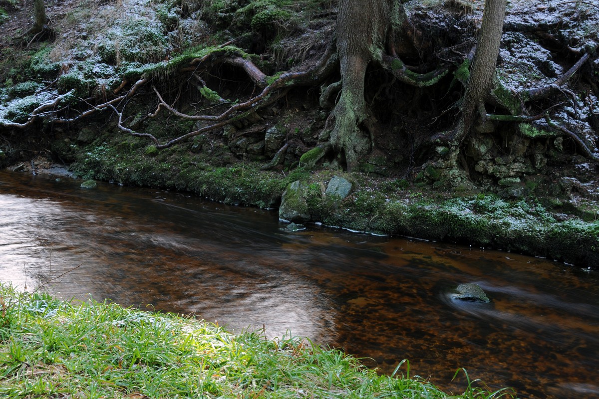 Pohoří na Šumavě (Pohořský potok)