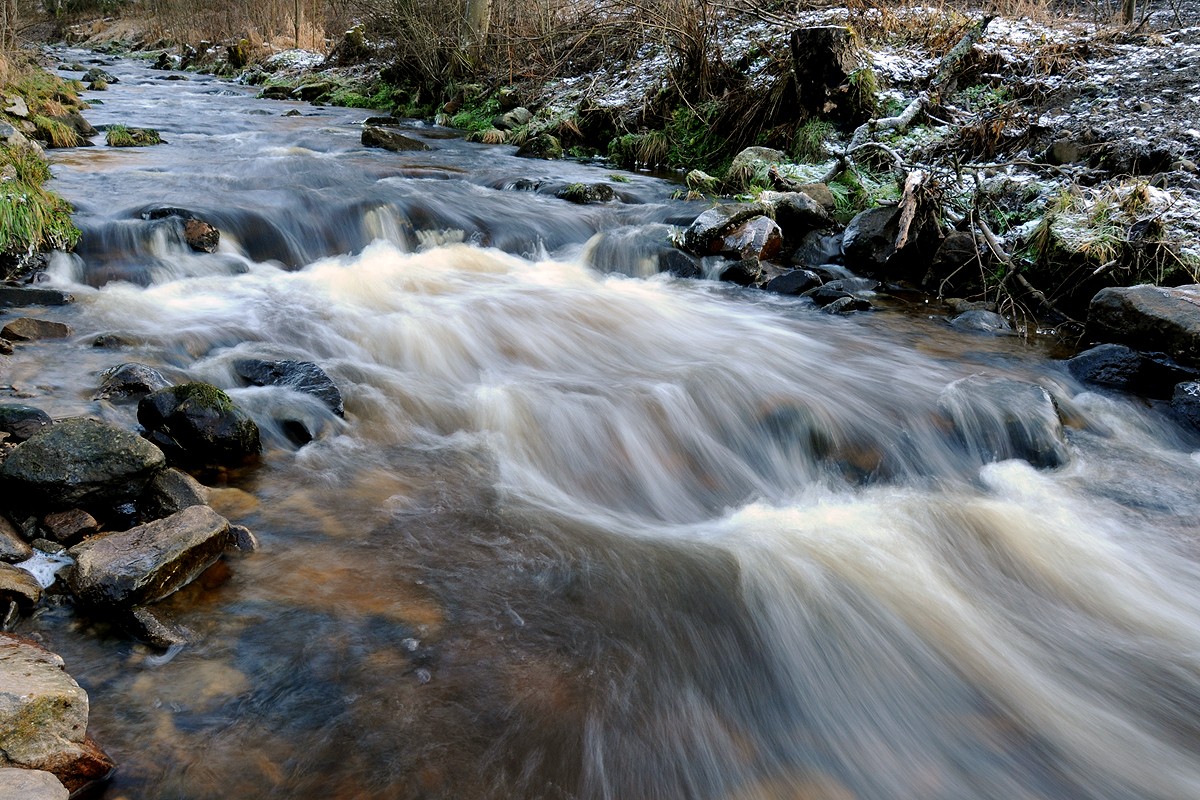 Pohoří na Šumavě (Pohořský potok)