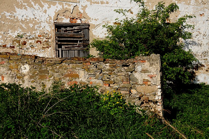 img00008.jpg