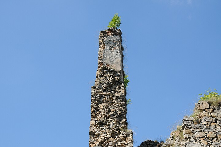 img00021.jpg