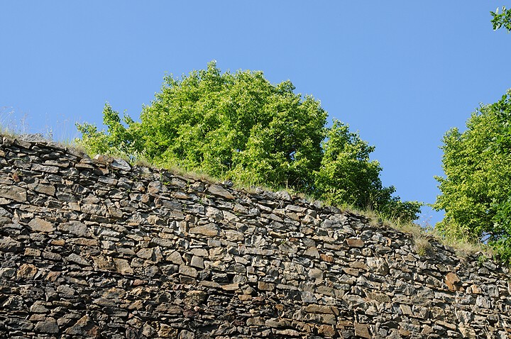 img00024.jpg