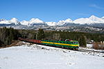 131 096-0, trať: ŽSR 180 Žilina - Košice (Tatranská Štrba), foceno: 10.02.2014