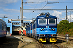 242 217-8