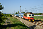 242 226-9