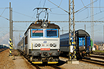 242 237-6, trať: 220 Praha - České Budějovice (České Budějovice), foceno: 10.12.2015