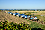 242 237-6