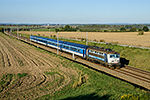 242 237-6