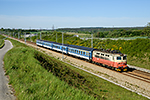 242 253-3