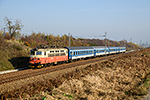 242 253-3