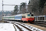 242 255-8
