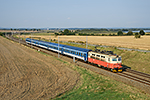 242 281-4