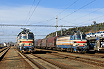 340 049-6, trať: 196 Horní Dvořiště - Summerau (Horní Dvořiště), foceno: 30.01.2016