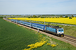 362 115-8