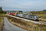383 428-0
