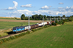 393 001-3