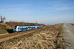 650 223-1
