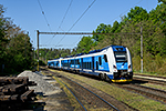 651 216-4